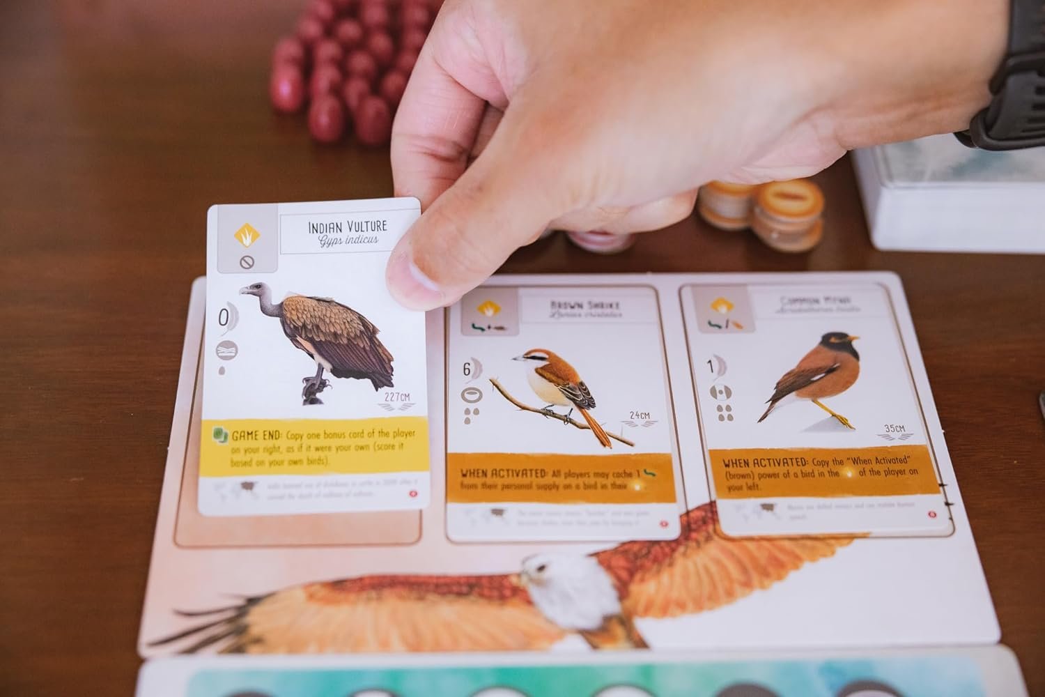 Wingspan Asia Expansion Review